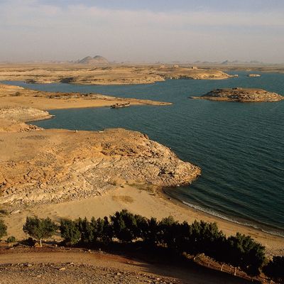 Egypt's Lake Nasser is the world's largest man-made lake. The lake's sediment can be used to reforest areas of desert.