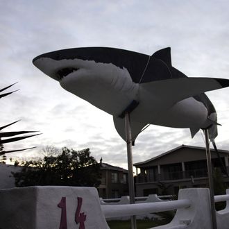 TO GO WITH AFP STORY BY JUSTINE GERARDYThe mock up of a great white shark is seen outside a private house on March 30, 2010 in Gansbaai in the Western Cape, South Africa.AFP PHOTO/GIANLUIGI GUERCIA (Photo credit should read GIANLUIGI GUERCIA/AFP/Getty Images)