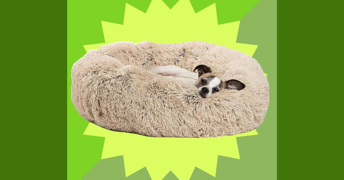 Best Friends by Sheri FauxFur Doughnut Cuddler Sale 2023 The Strategist