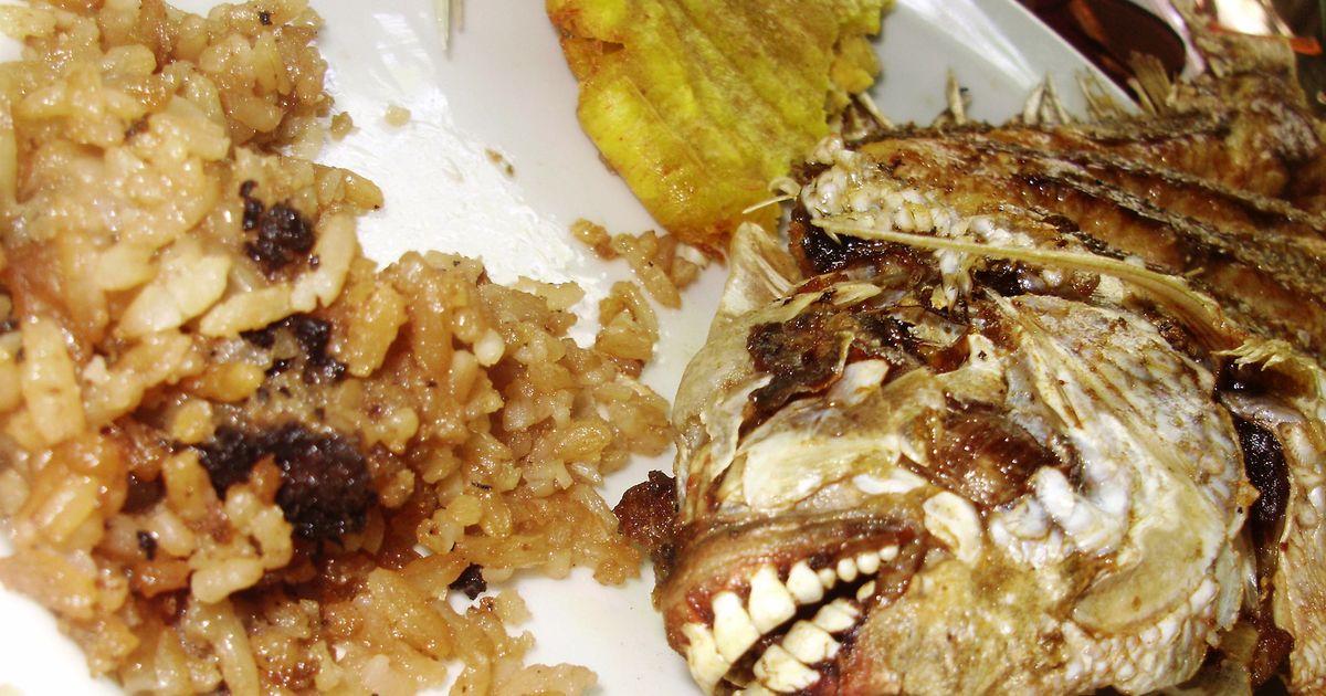 TesticleEating Fish Found in New Jersey