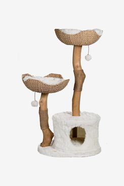 Get Cat Condo - Microsoft Store