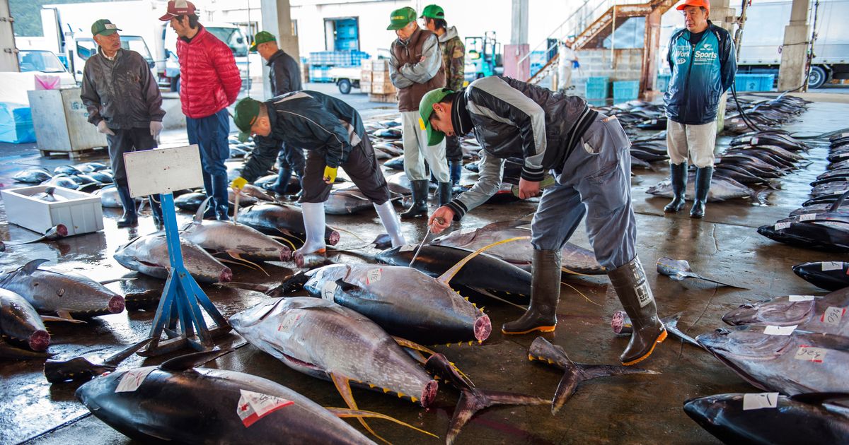 Countries Agree to Restore Bluefin-Tuna Populations