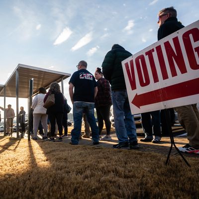 CARTERSVILLE, GA - NOVEMBER 26- People are seen in line to vot