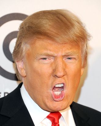 Donald Trump Wants Help Finding a New Hairdo