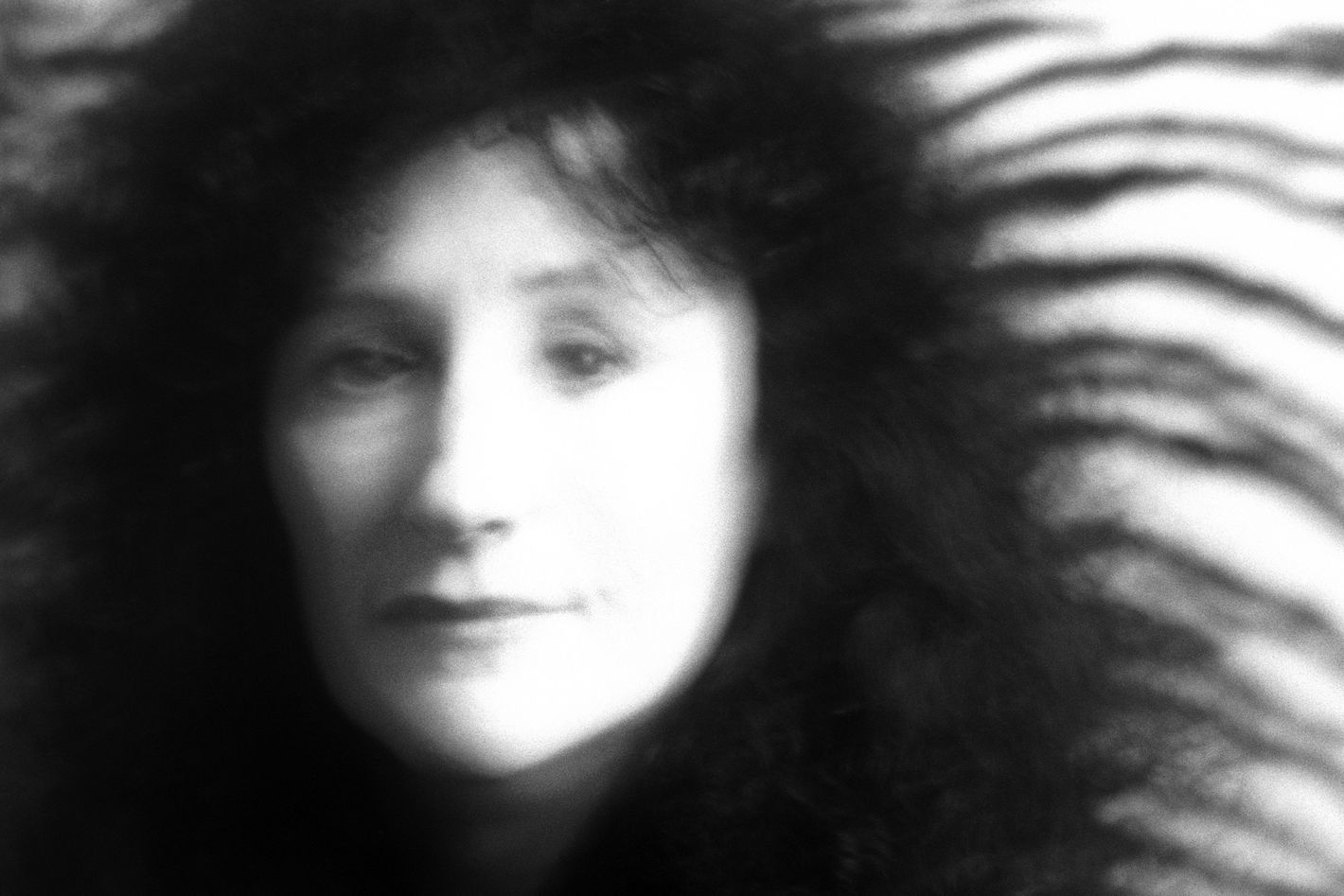 Where's the Line Between Criticism and the Novel? Somewhere