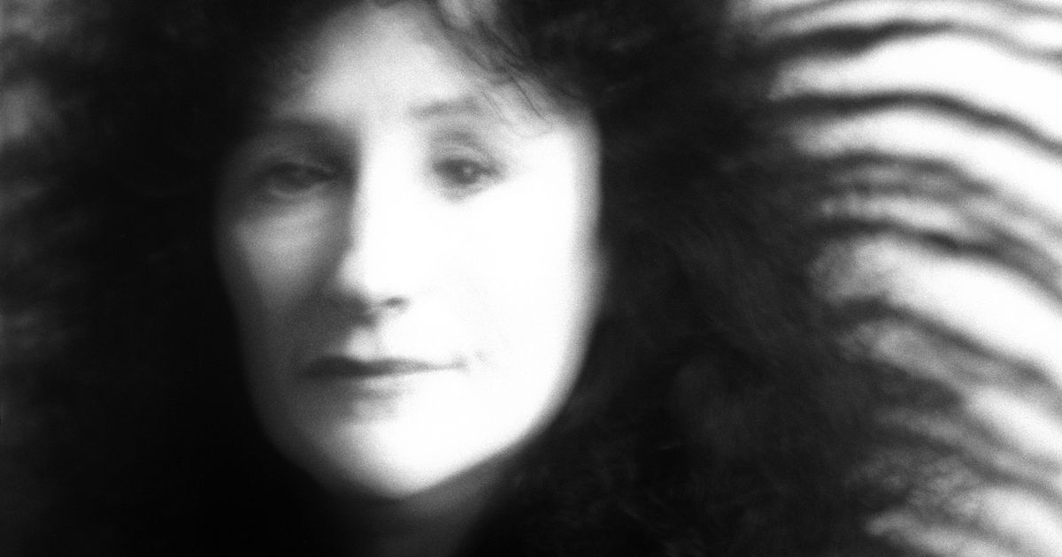 Where's the Line Between Criticism and the Novel? Somewhere Inside