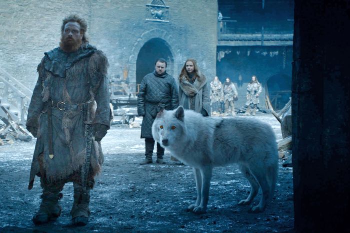 a87942ddca87ede0038a2568cffdbfd181-16-game-of-thrones-direwolves-ghost-lede.rhorizontal.w700.jpg