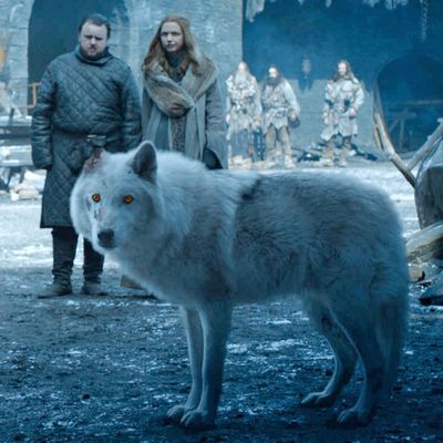 What Dogs are Alive in Game of Thrones?: Unveil the Survivors!