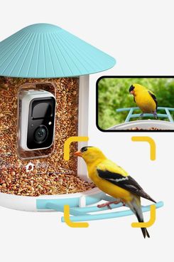 Netvue Birdfy Smart Bird Feeder With Camera