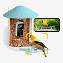 Netvue Birdfy Smart Bird Feeder With Camera