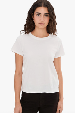 Madewell Northside Vintage Tee Pack