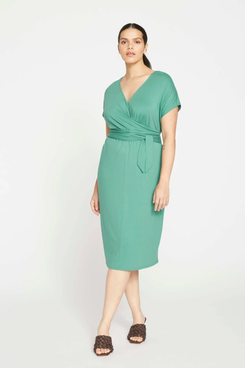 Universal Standard Popover Tie Front Dress