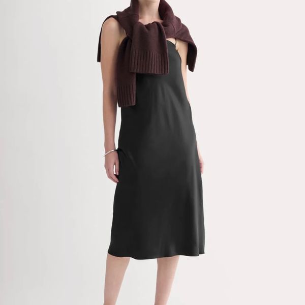 Everlane Slip Dress in Silk Charmeuse