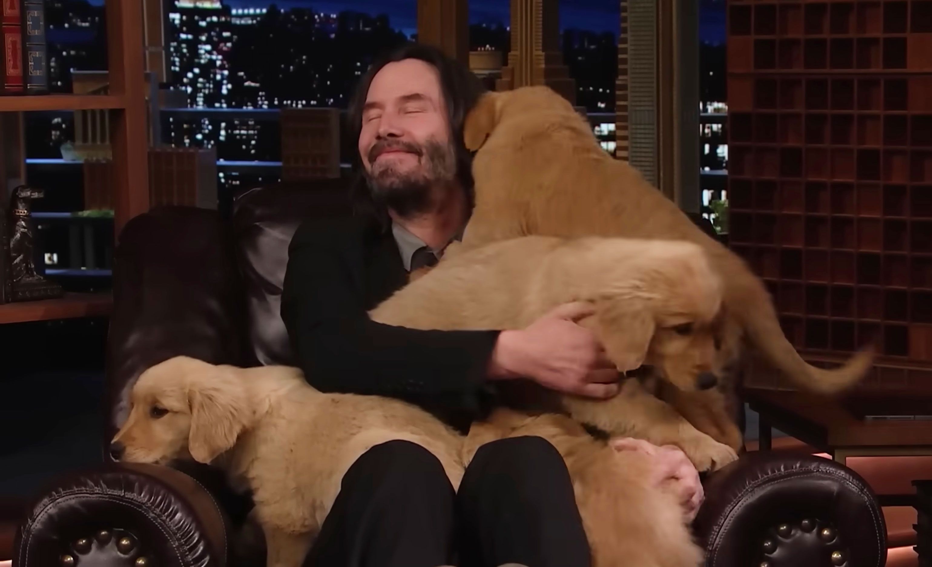 Keanu Reeves Covered in Puppies Won Late Night This Week