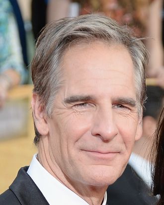 LOS ANGELES, CA - JANUARY 18: Actor Scott Bakula attends the 20th Annual Screen Actors Guild Awards at The Shrine Auditorium on January 18, 2014 in Los Angeles, California. (Photo by Jeff Kravitz/FilmMagic)
