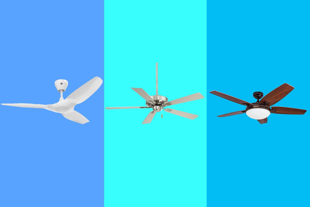 Best Ceiling Fans 2023 | The Strategist