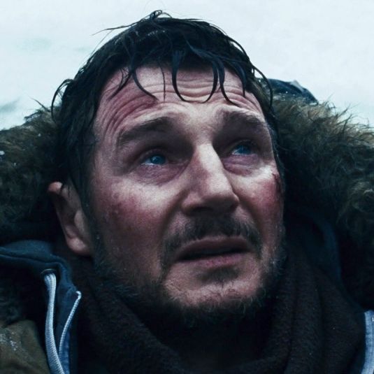 The Agony Of Liam Neeson Action Star