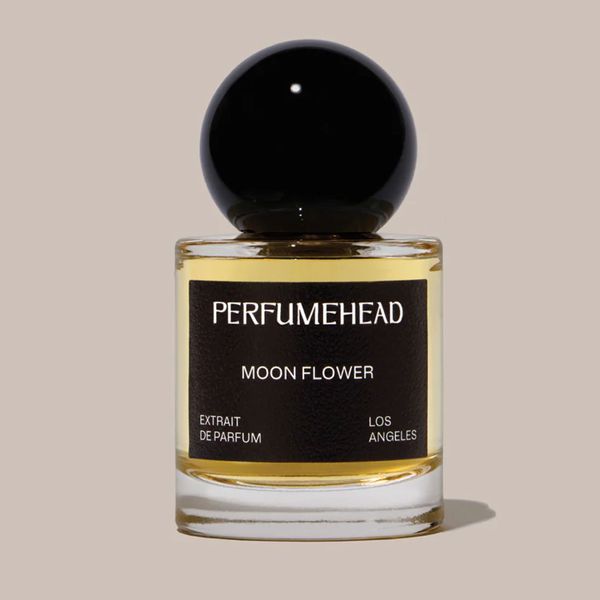 Perfumehead Moon Flower