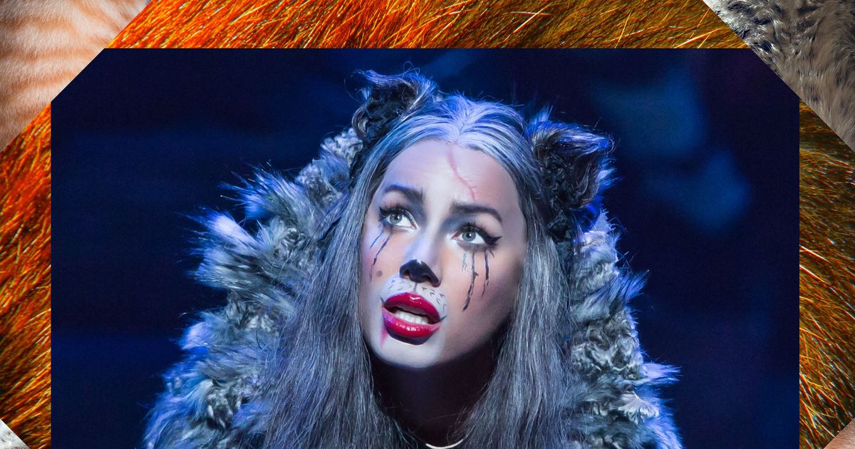 cats the musical makeup and costume