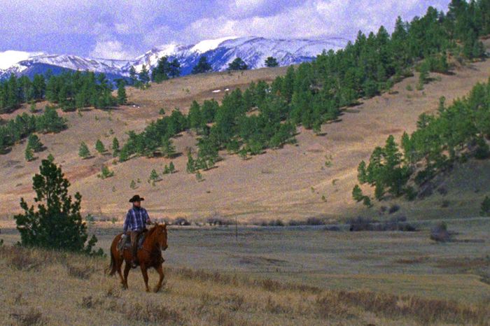 Part rarefied aesthetic experience, part lyrical reverie, Andrew Renzi’s documentary about calving season at a Montana ranch is somehow both amazingly old-fashioned and wondrously new, as a consciously mythologizing Harry Dean Stanton voice-over accompanies the immersive, observant images. Gorgeous on every level, and occasionally quite powerful, this is the kind of movie students of the avant-garde and fans of arthouse docs like Leviathan can take their Clint Eastwood–loving dads to.&nbsp;