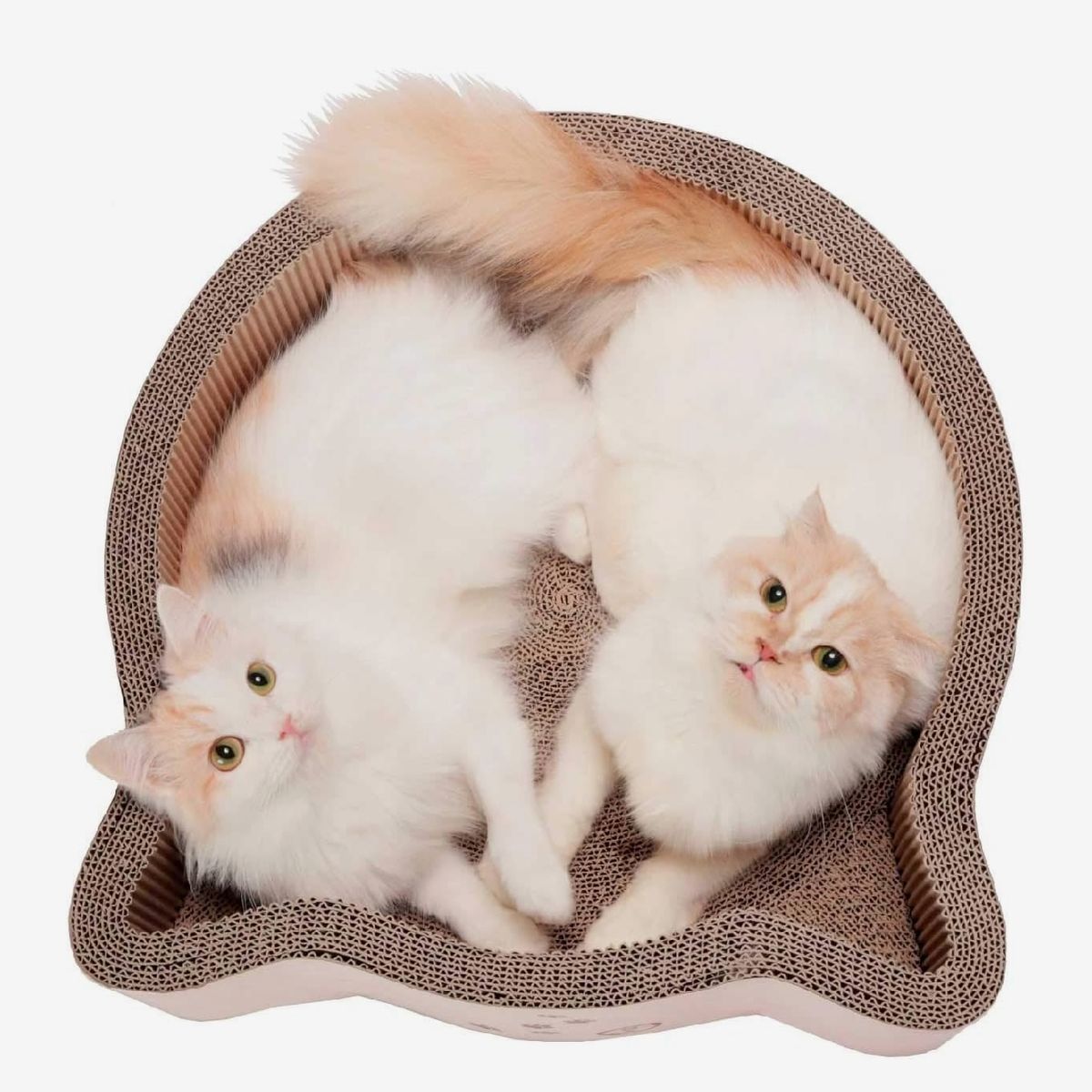 Necoichi Cat-Headed Scratcher Bed