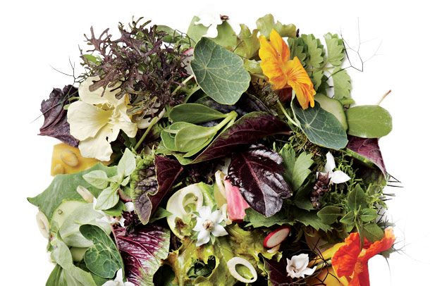 The Battle of the Rooftop Salads