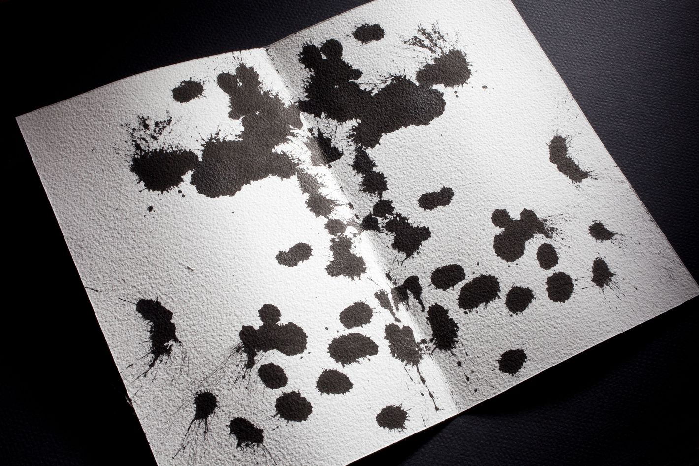 Books: The Inkblots: Hermann Rorschach, His Iconic Test and the Power of  Seeing by Damion Searls