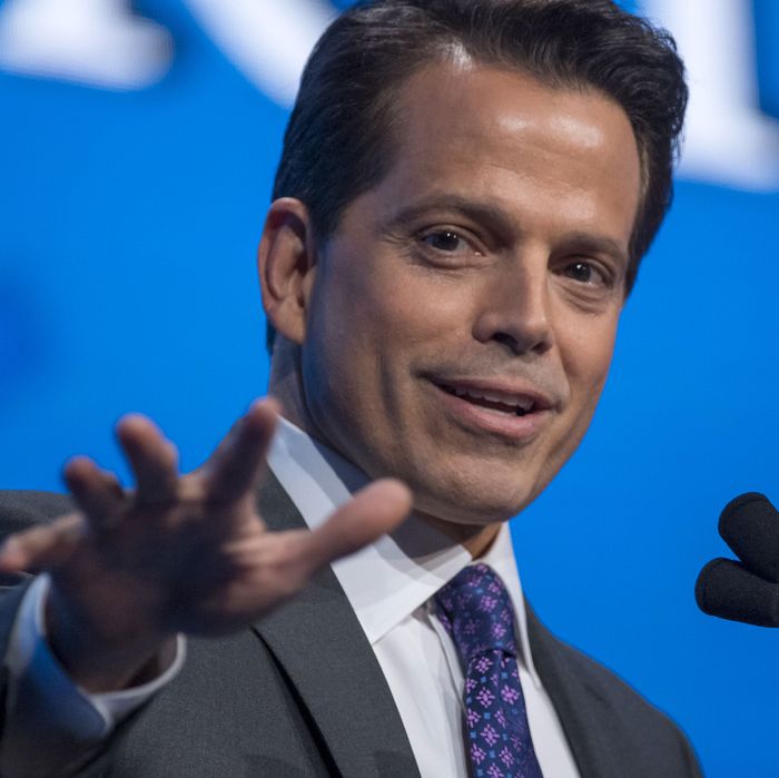 Anthony Scaramucci Makes Debut,