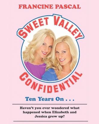 sweet valley twins books