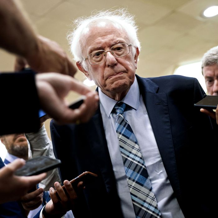 Will Bernie Sanders Run for Reelection in 2024?