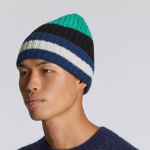 Everlane The Cashmere Beanie - Bright Navy Multi Stripe