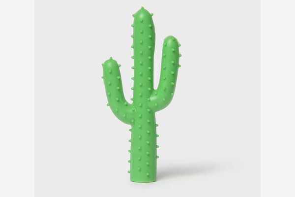 Silly Succulent Cactus Dog Toy