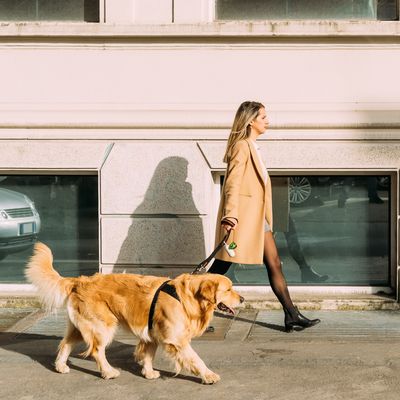 Italy, Woman with dog walking along street