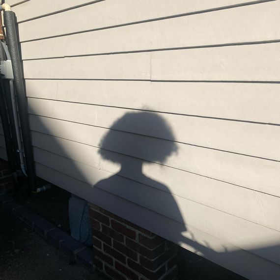A shadow of a teenager with hair cut in a chin-length bob against a wall.