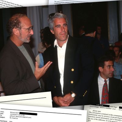 Questions Experts Expect the Epstein Files Release to Answer