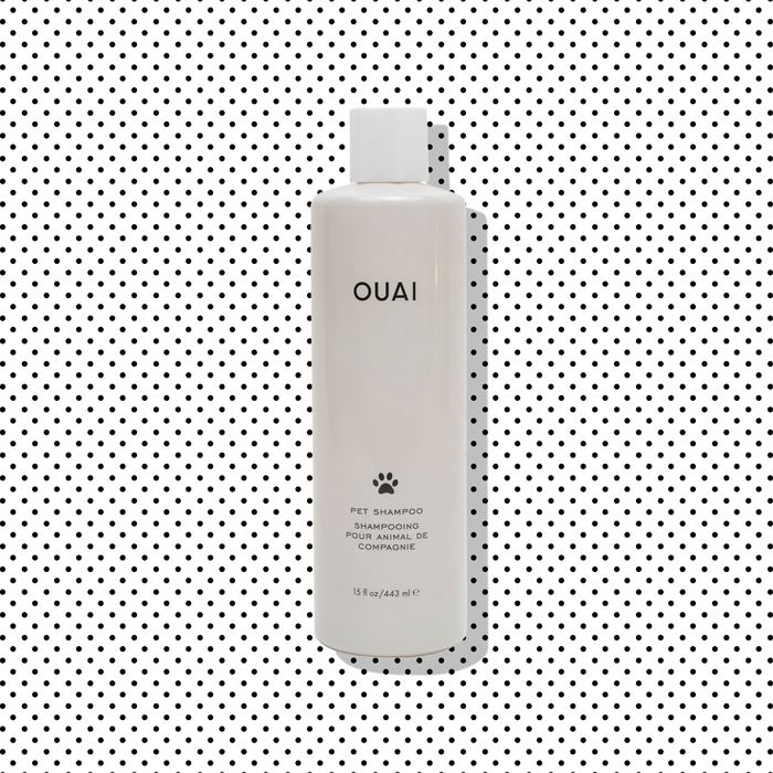 krans strategi omfattende Real-Life Reviews of Ouai's New Pet Shampoo
