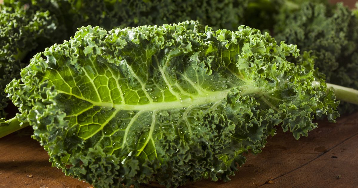 Start Prepping Now for a Possible Global Kale Shortage