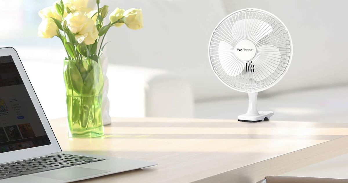 The Best Fans on Amazon 2021 The Strategist