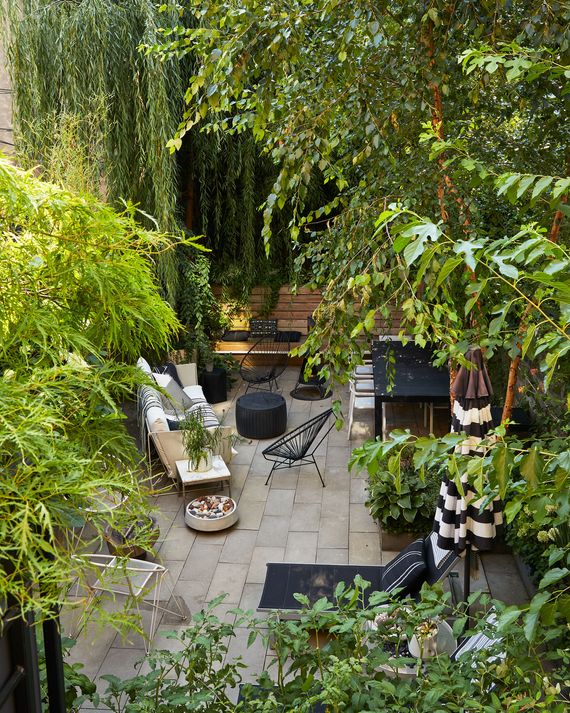 Tour a Lush Herb and Sitting Garden in Bed-Stuy