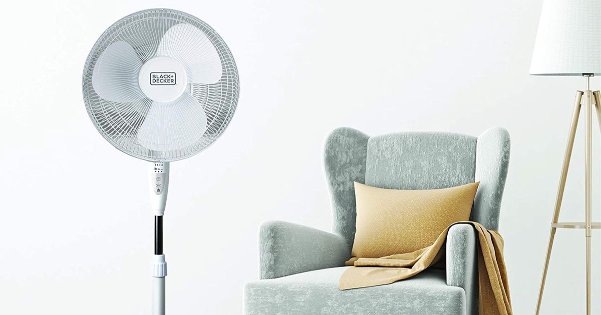 12 Best Cooling Floor Fans On Amazon The Strategist New York Magazine