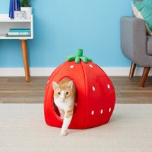 YML Strawberry Covered Cat & Dog Bed, Small