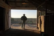 Dutton Ranch Recap: The Hangover