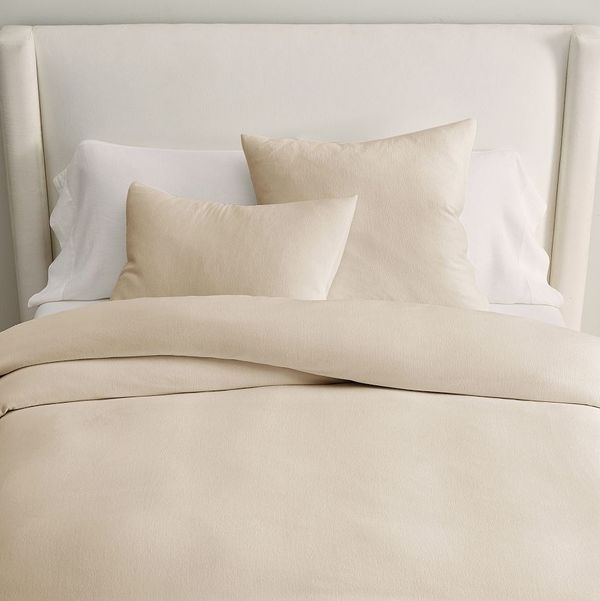 Pottery Barn Cozy Cloud Duvet