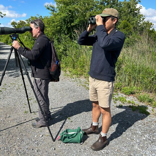 Swarovski Optik AX Visio Binoculars