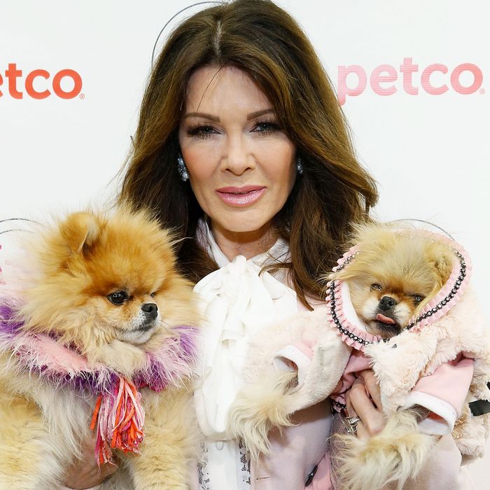 Lisa Vanderpump Dog-Rescue Drama With Saving Spot Scam