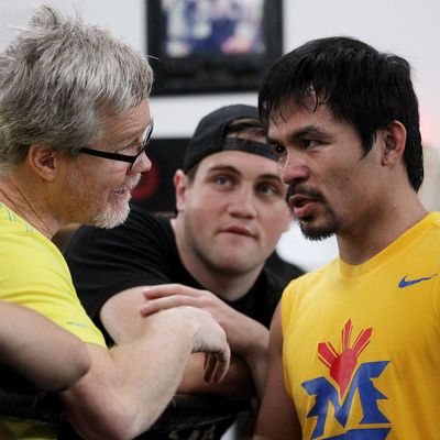 LOS ANGELES, CA - MARCH 9: Manny Pacquiao, right, talks with trainer Freddie Roach as the Filipino prizefighter opens training camp at the Wild Card Boxing Gym on March 9, 2015 in Los Angeles, California. Pacquiao is in preparation for a much anticipated match against Floyd Mayweather in about two months. (Photo by Luis Sinco/Los Angeles Times via Getty Images)