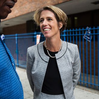 Challenger To Gov. Cuomo In State Primary, Zephyr Teachout Greets Voters