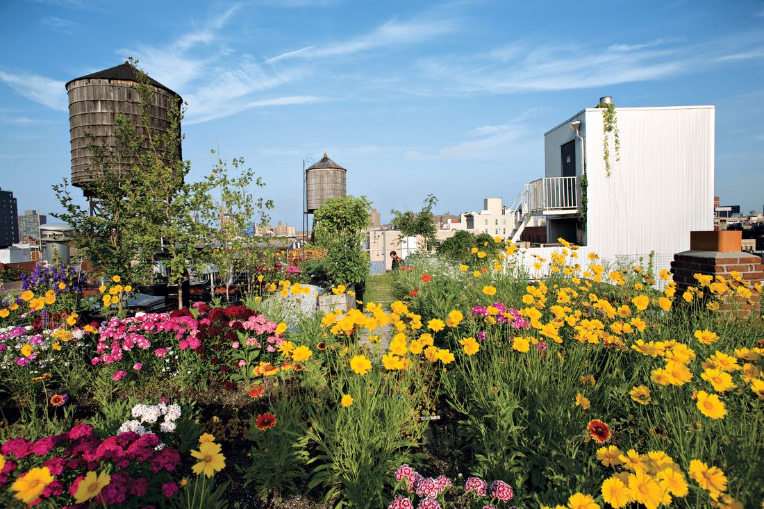 Tour a NYC Apartment With a Two-Level Rooftop Garden