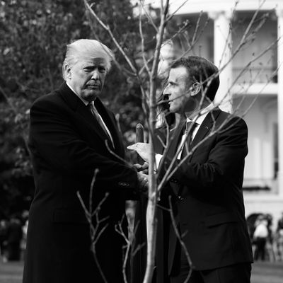 Donald Trump and Emmanuel Macron's tree.