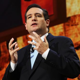 TAMPA, FL - AUGUST 28: Senate Republican Candidate, Texas Solicitor General Ted Cruz speaks during the Republican National Convention at the Tampa Bay Times Forum on August 28, 2012 in Tampa, Florida. Today is the first full session of the RNC after the start was delayed due to Tropical Storm Isaac. (Photo by Spencer Platt/Getty Images)